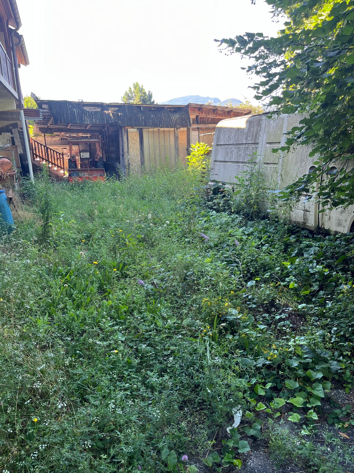 Terrain envahi par les herbes avant débroussaillage